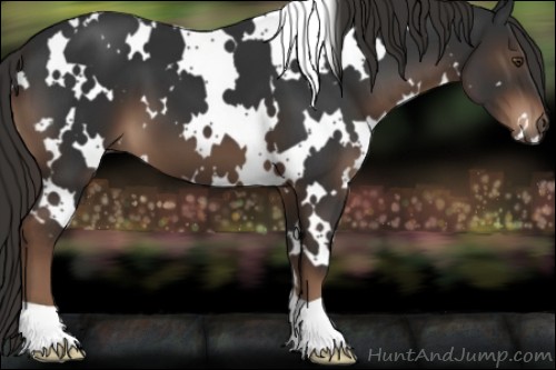 Horse Color:White Spotted Liver Chestnut 