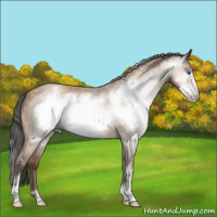 Horse Color:Gray Amber Champagne Roan Sabino Frame 