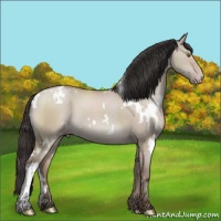 Horse Color:White Spotted Classic Champagne Dun 