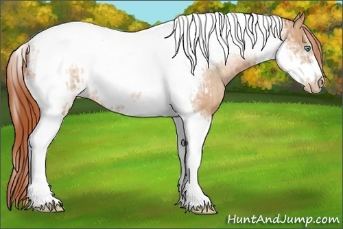 Horse Color:Chocolate Palomino Pearl Tobiano Frame and Buckskin Pearl Tobiano Frame