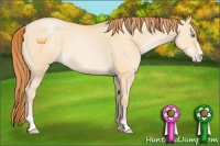 Horse Color:Buckskin Pearl Dun Sabino 