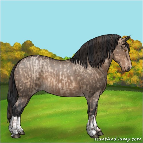 Horse Color:Brown Pearl Dun  and Brown Roan Dun 