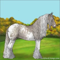 Horse Color:Silver Grullo Tobiano Rabicano