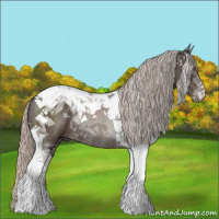 Horse Color:Silver Black Tobiano Rabicano