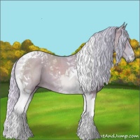 Horse Color:Watercolor Silver Grullo Tobiano 