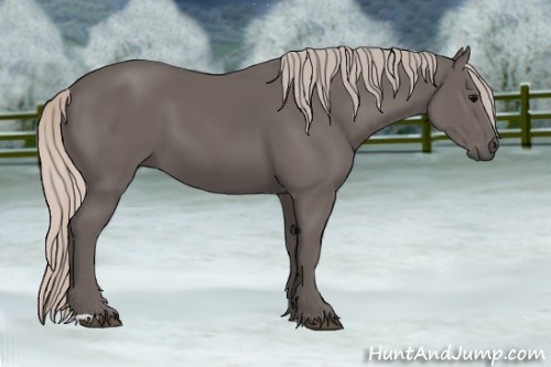 Horse Color:Silver Black 