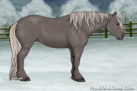 Horse Color:Silver Black 