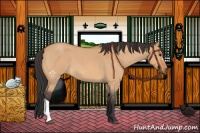 Horse Color:Bay Roan Dun 