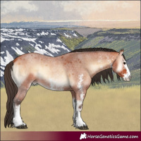 Horse Color:Bay Roan Onyx Sabino