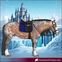 Horse Color:Bay Ice