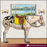 Horse Color:Silver Buckskin Near Leopard Rabicano 