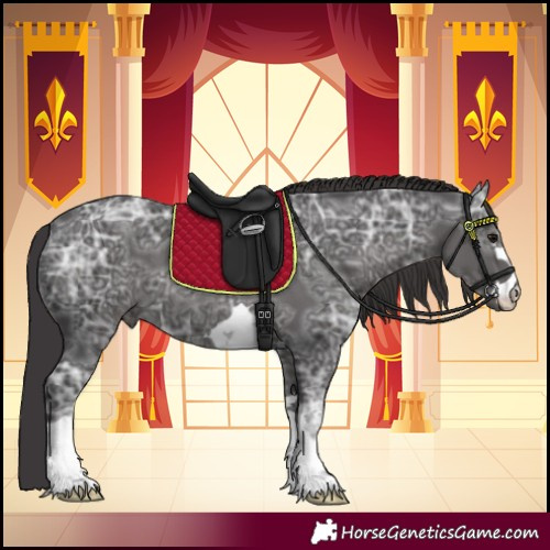 Horse Color:Smoky Black Ice 