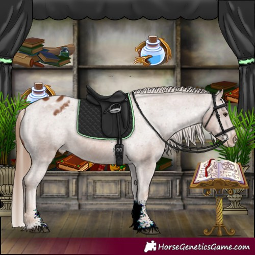 Horse Color:Chestnut Sabino Varnish Rabicano 