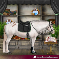 Horse Color:Chestnut Sabino Varnish Rabicano