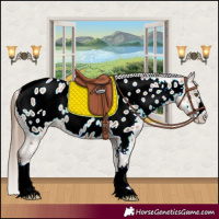 Horse Color:Liver Chestnut Pearl Appaloosa Rabicano 