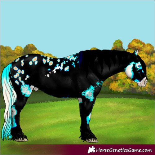Horse Color:Palomino Frame Appaloosa 