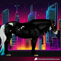 Horse Color:Silver Buckskin Sabino Tobiano Appaloosa Rabicano