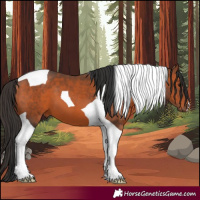 Horse Color:Bay Tobiano