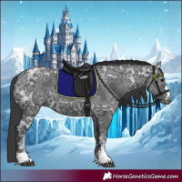 Horse Color:Black Ice 