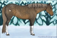 Horse Color:Chocolate Palomino Roan 