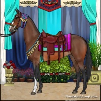 Horse Color:Bay 