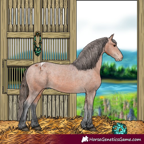 Horse Color:Bay Varnish 