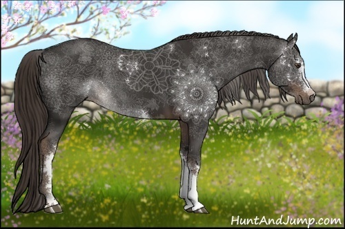 Horse Color:White Spotted Liver Chestnut Sabino 