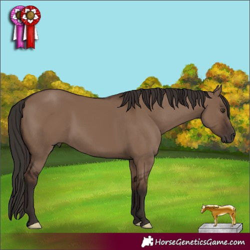 Horse Color:Liver Red Dun 