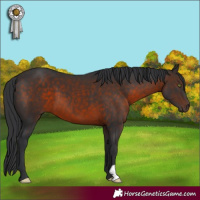 Horse Color:Brown 