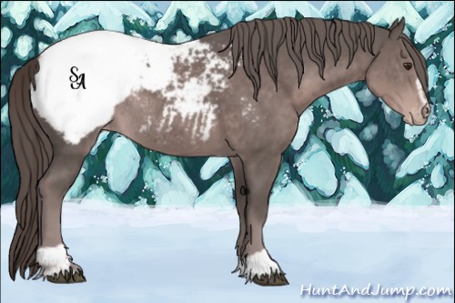 Horse Color:Platinum Liver Chestnut Sabino Snowcap Rabicano