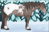 Horse Color:Platinum Liver Chestnut Sabino Snowcap Rabicano 