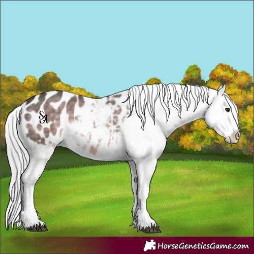 Horse Color:Platinum Chocolate Palomino Blanket Rabicano