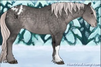 Horse Color:Platinum Chocolate Palomino Varnish Rabicano 