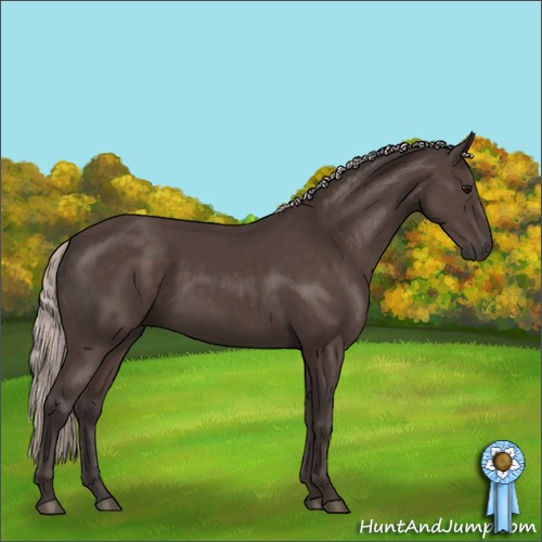 Horse Color:Silver Black 