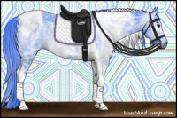 Horse Color:Gray Watercolor Black Ice Tobiano