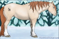 Horse Color:Sable Cream Champagne Pearl 
