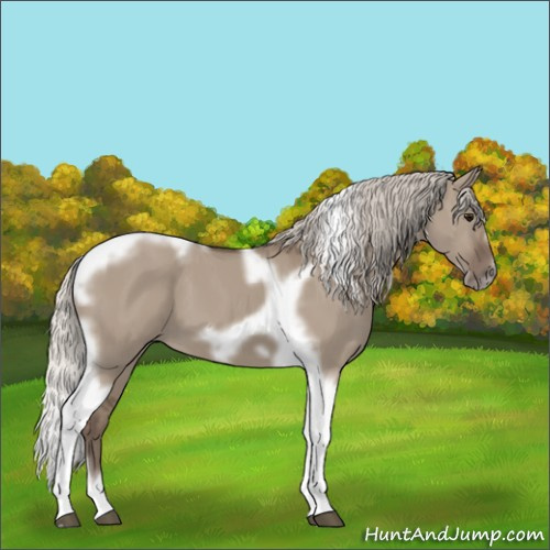 Horse Color:Silver Grullo Tobiano Frame 