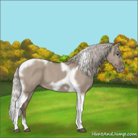 Horse Color:Silver Grullo Tobiano Frame