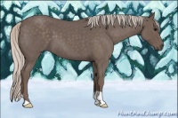 Horse Color:Silver Blue Roan 