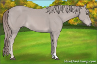 Horse Color:Platinum Chestnut 