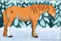 Horse Color:Watercolor Liver Chestnut 