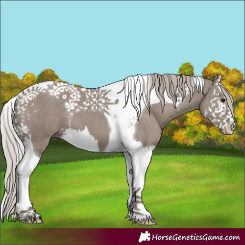 Horse Color:Silver Grullo Splash Tobiano