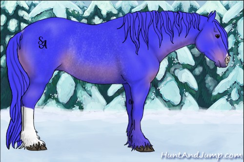 Horse Color:Watercolor Black Rabicano 