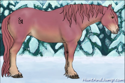 Horse Color:Watercolor Chestnut Sabino Rabicano