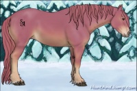 Horse Color:Watercolor Chestnut Sabino Rabicano 