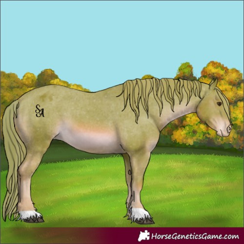 Horse Color:Watercolor Chestnut Appaloosa 