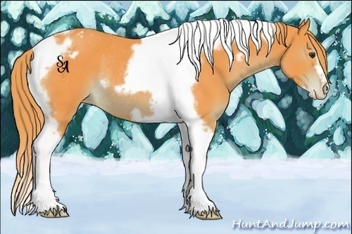 Horse Color:Watercolor Liver Chestnut Tobiano Frame Varnish Rabicano