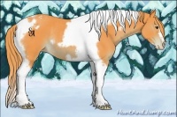 Horse Color:Watercolor Liver Chestnut Tobiano Frame Varnish Rabicano 