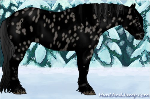 Horse Color:Void Grullo Splash Leopard 