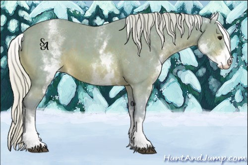 Horse Color:Watercolor White Spotted Silver Brown 